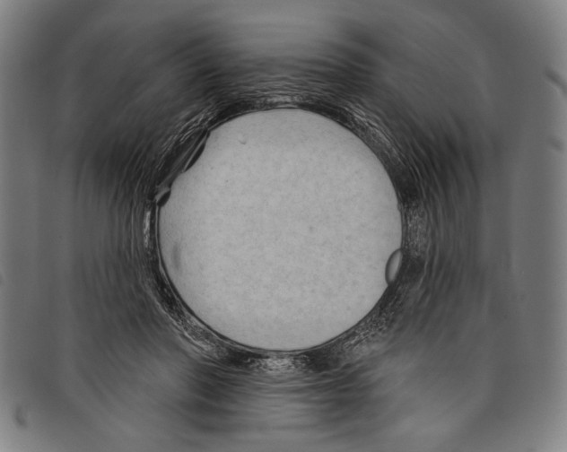 X0000097770406200804041156
