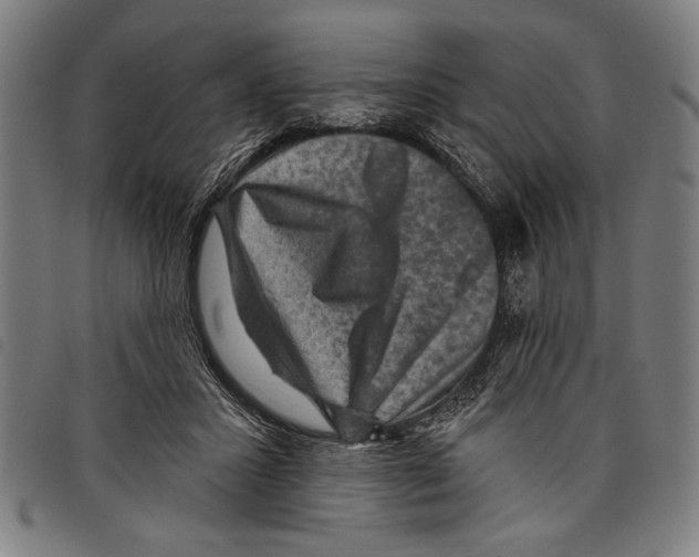 X0000097770407200804041156