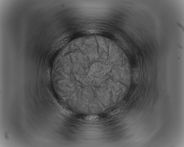 X0000097770410200804041156