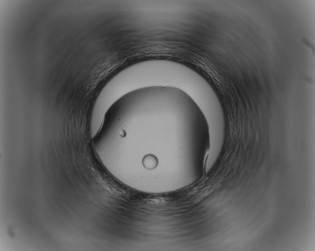 X0000097770411200804041156