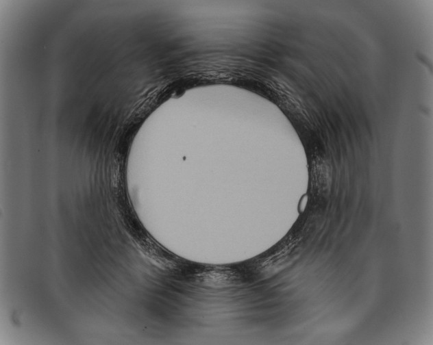 X0000097770412200804041156