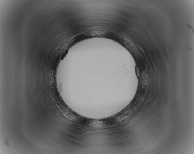 X0000097770413200804041156