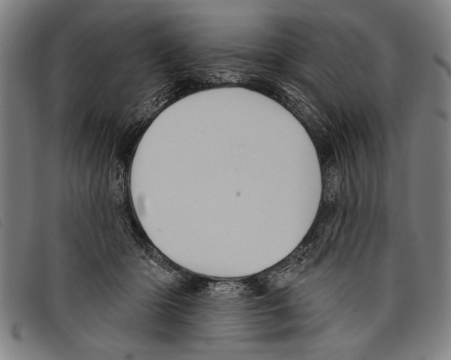 X0000097770414200804041156