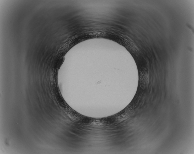 X0000097770416200804041156