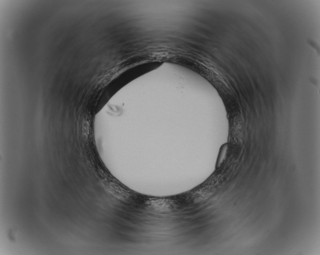 X0000097770417200804041156