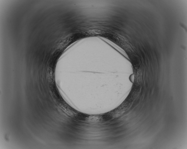 X0000097770418200804041156