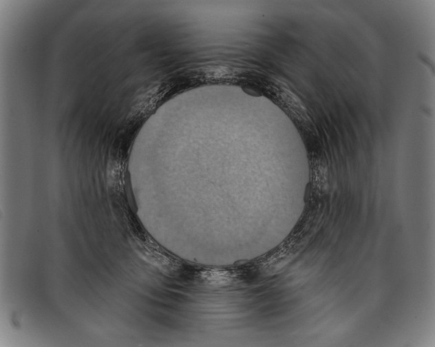 X0000097770419200804041156