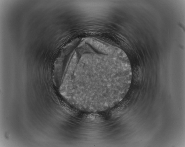 X0000097770420200804041156