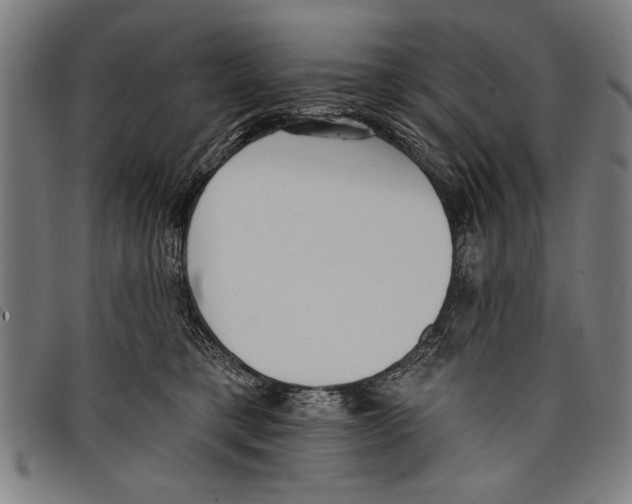 X0000097770421200804041156