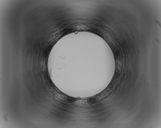 X0000097770422200804041156