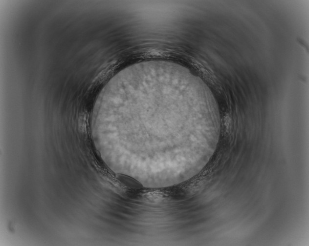 X0000097770423200804041156