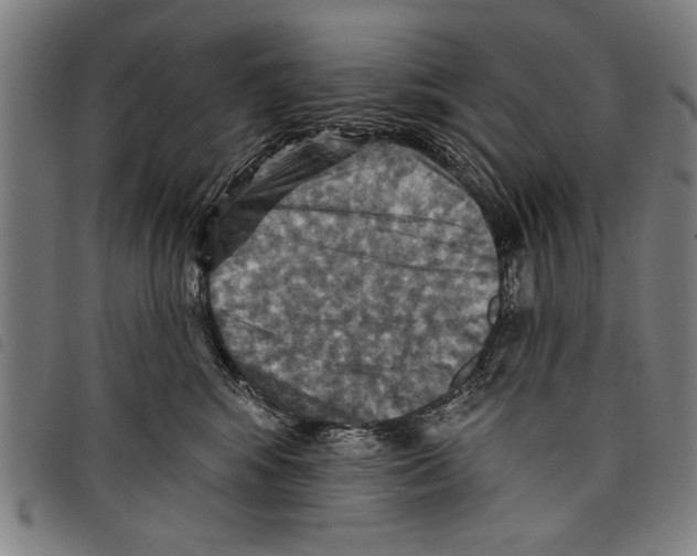 X0000097770424200804041156