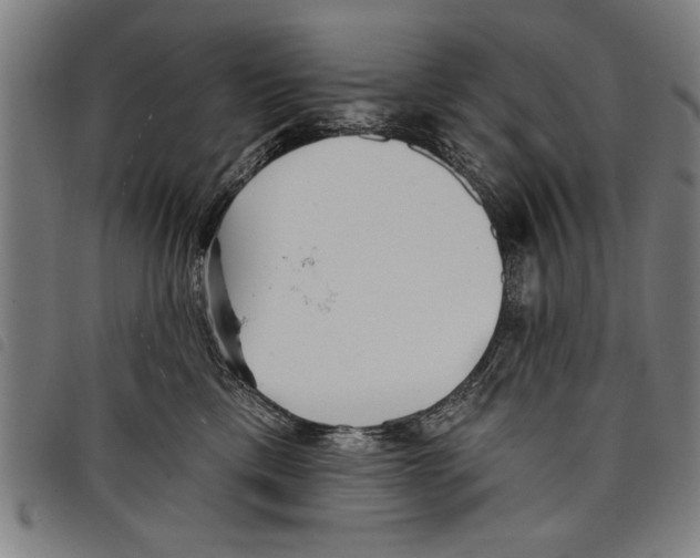 X0000097770425200804041156