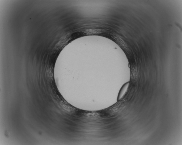X0000097770426200804041156