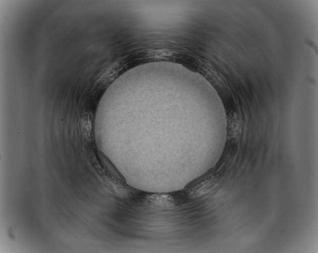 X0000097770427200804041156