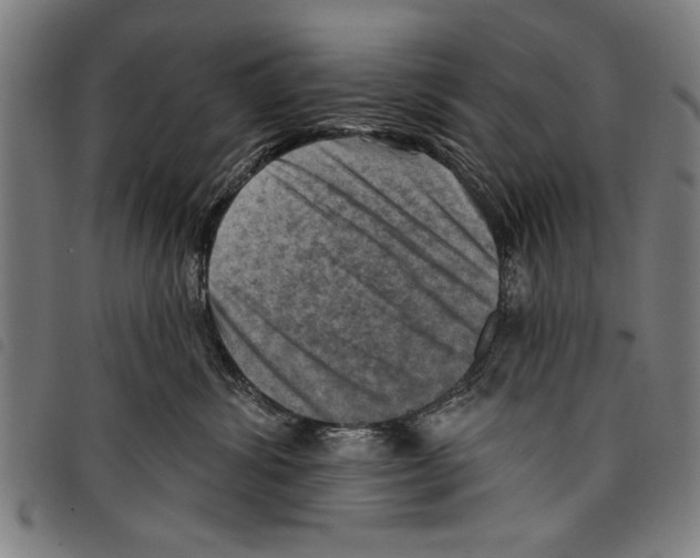 X0000097770428200804041156