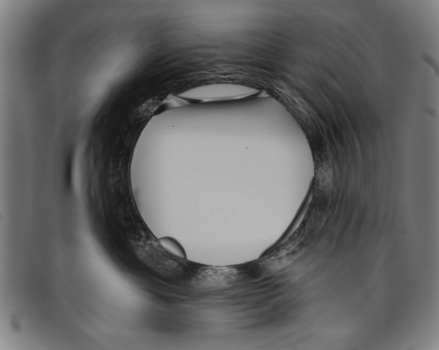 X0000097770429200804041156