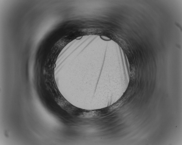 X0000097770430200804041156