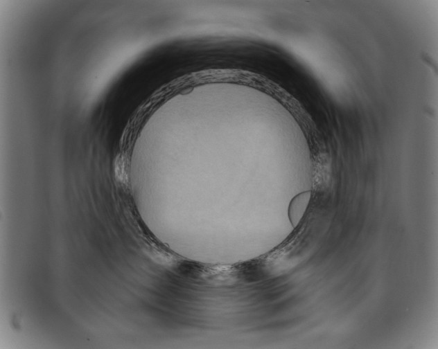 X0000097770431200804041156