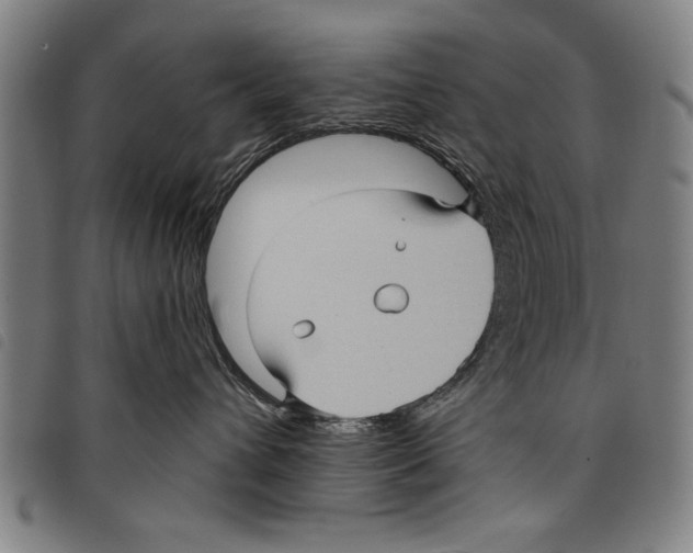 X0000097770432200804041156