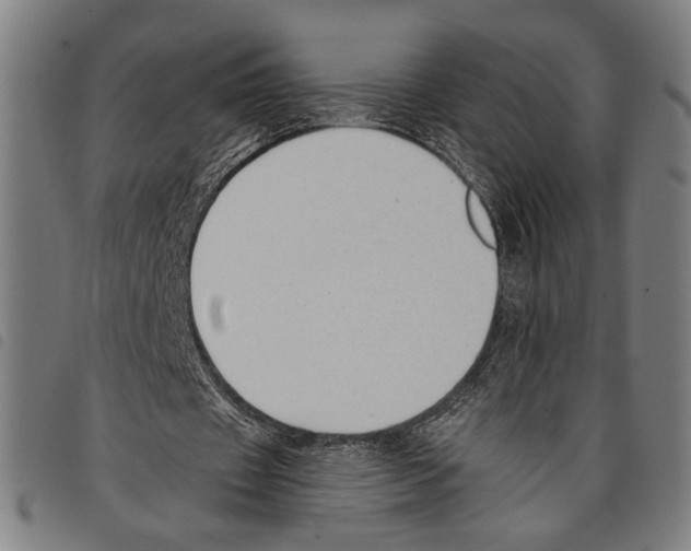 X0000097770433200804041155