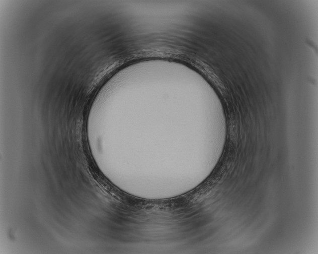 X0000097770434200804041155
