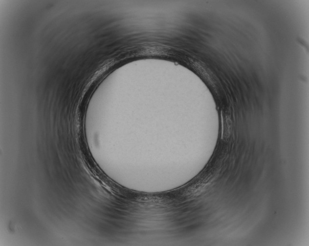 X0000097770435200804041155