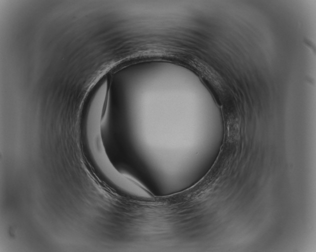 X0000097770436200804041155