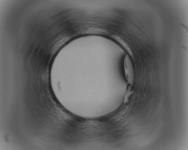 X0000097770437200804041156