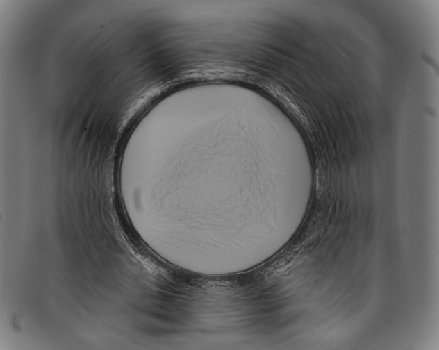 X0000097770438200804041156