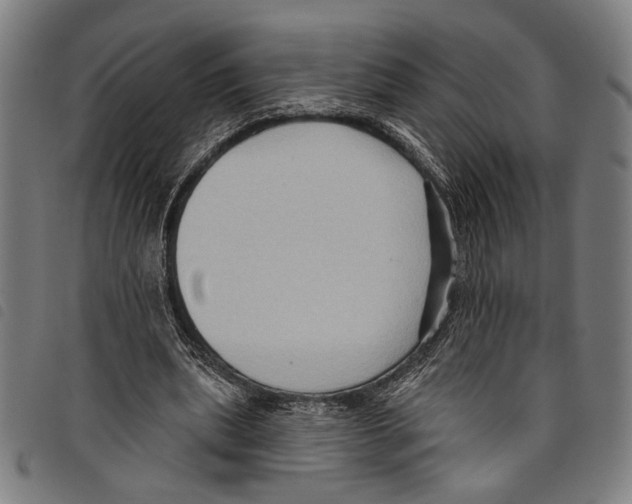 X0000097770439200804041156