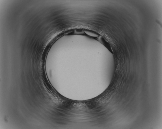 X0000097770440200804041156