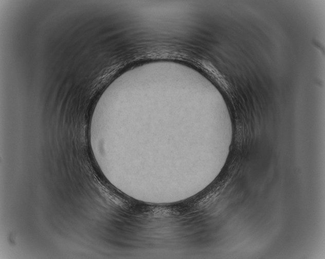 X0000097770441200804041156