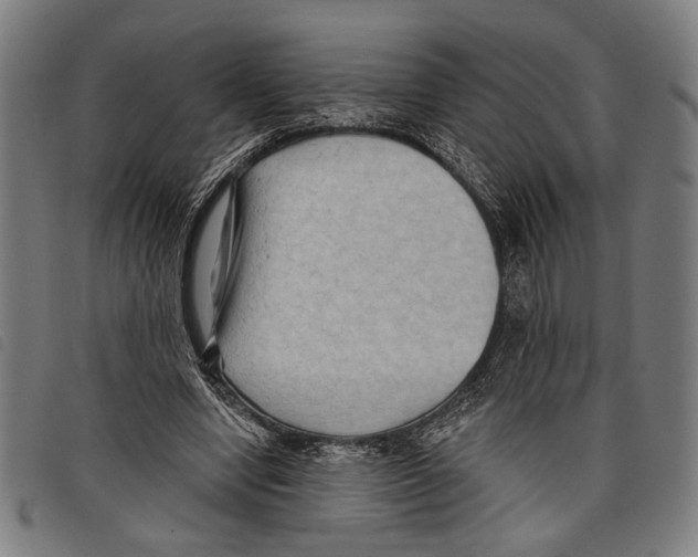 X0000097770442200804041156
