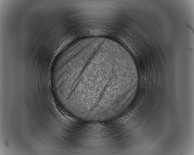 X0000097770443200804041156