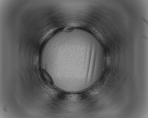 X0000097770444200804041156