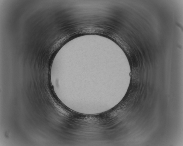 X0000097770445200804041156