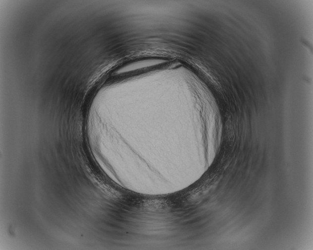 X0000097770446200804041156