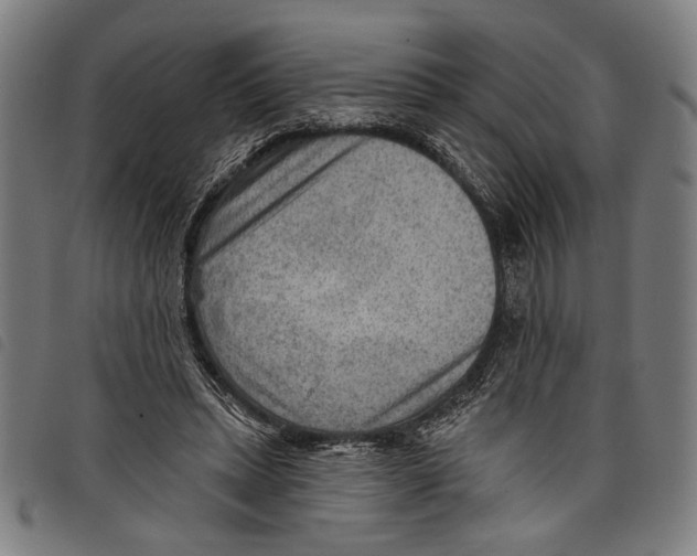 X0000097770447200804041156