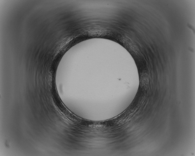X0000097770448200804041156