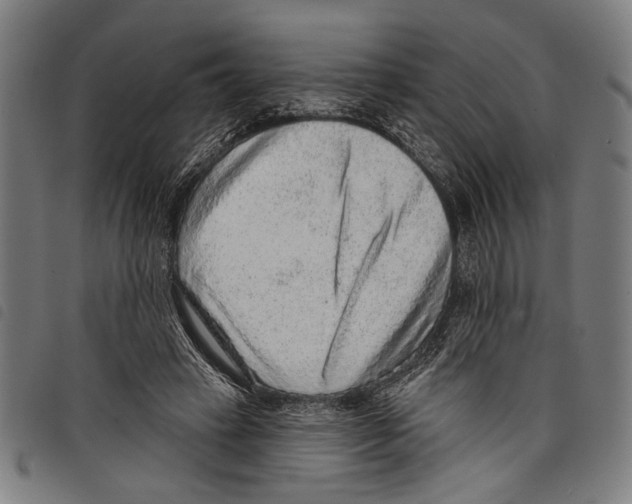 X0000097770449200804041156