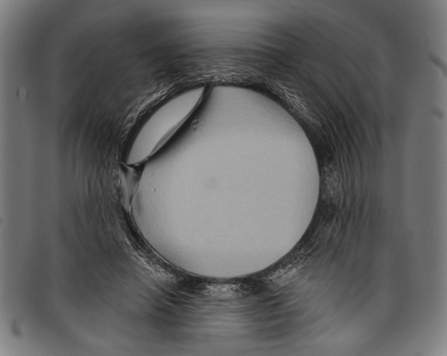 X0000097770450200804041156