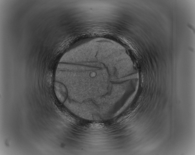 X0000097770451200804041156