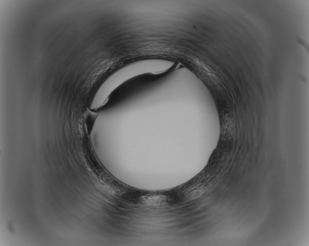 X0000097770452200804041156