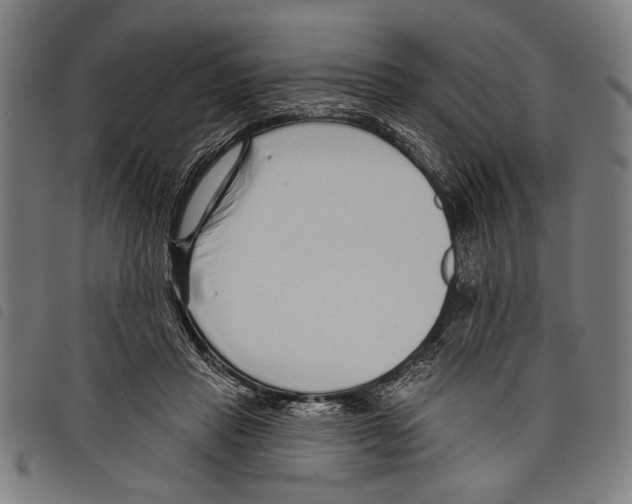 X0000097770453200804041156