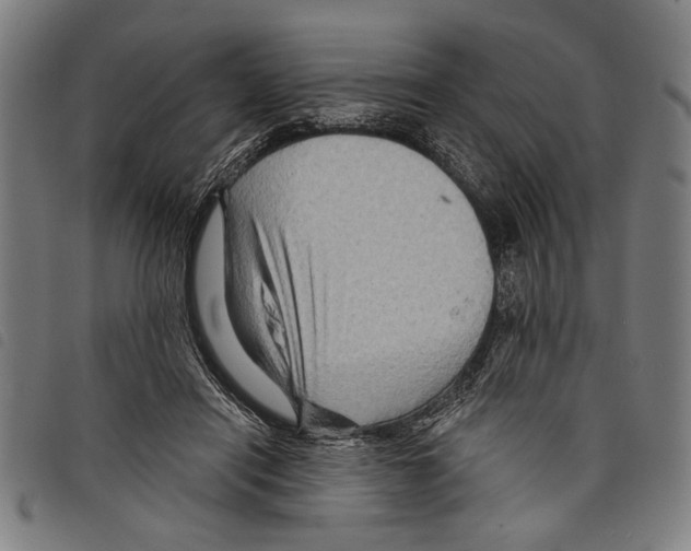X0000097770454200804041156
