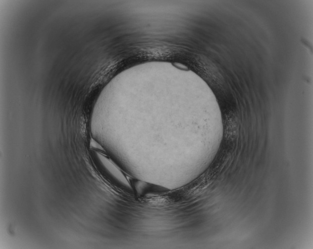 X0000097770456200804041156