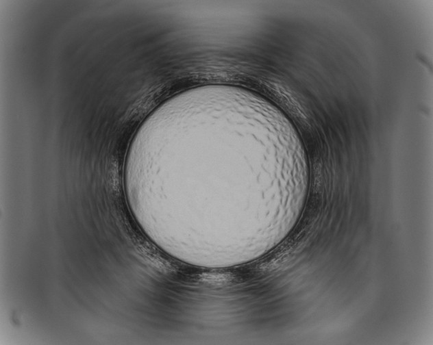 X0000097770457200804041156