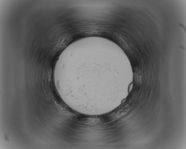 X0000097770458200804041156