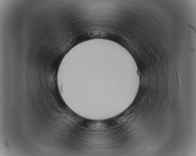 X0000097770460200804041156